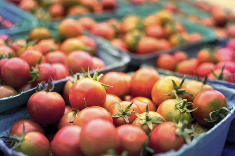 Urban Farm Tour
